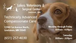 Lakes Veterinary